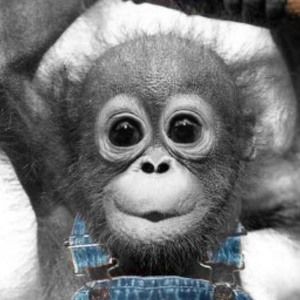 Meet your Posher, Jo-ann